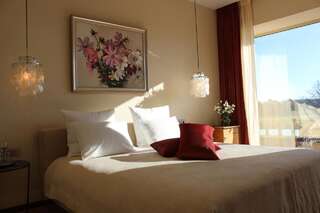 Отель Harmony Park Hotel & SPA Пренай Двухместный номер с 1 кроватью и доступом в спа-центр-5