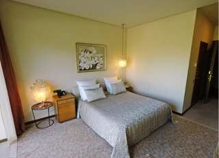 Отель Harmony Park Hotel & SPA Пренай Двухместный номер с 1 кроватью и доступом в спа-центр-14